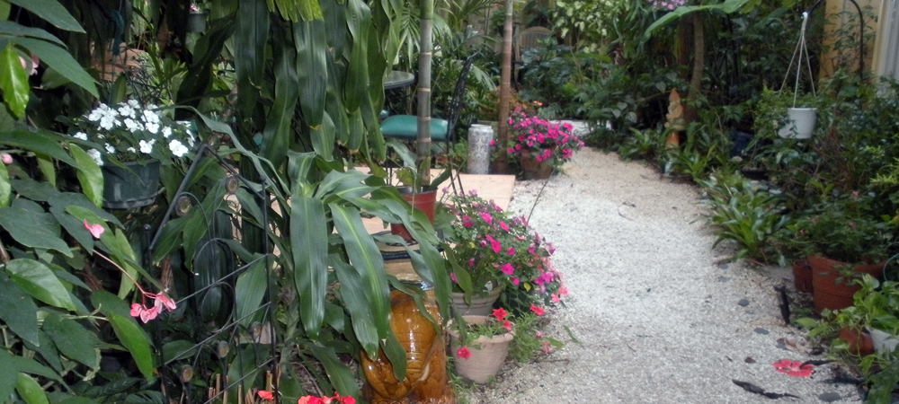 Image 08