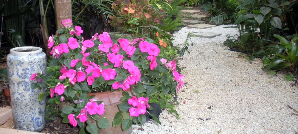 Image 09